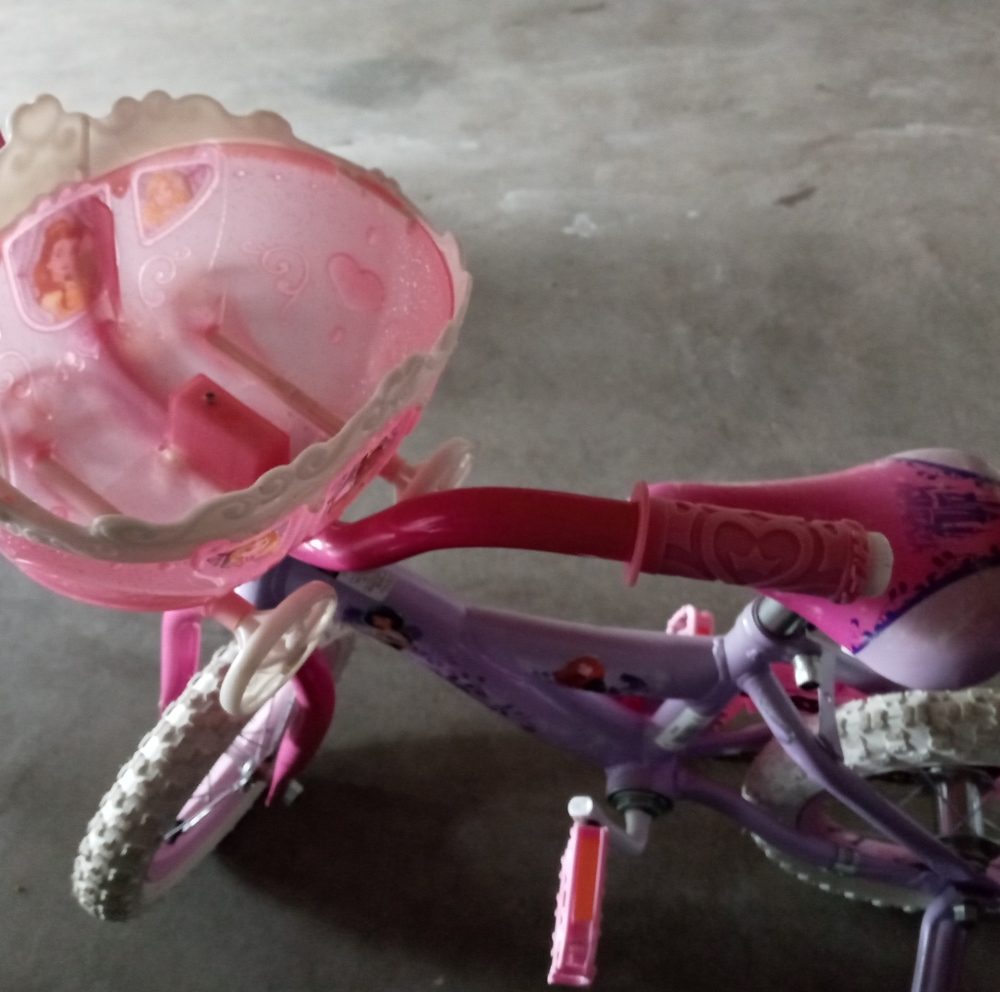 Princess bike